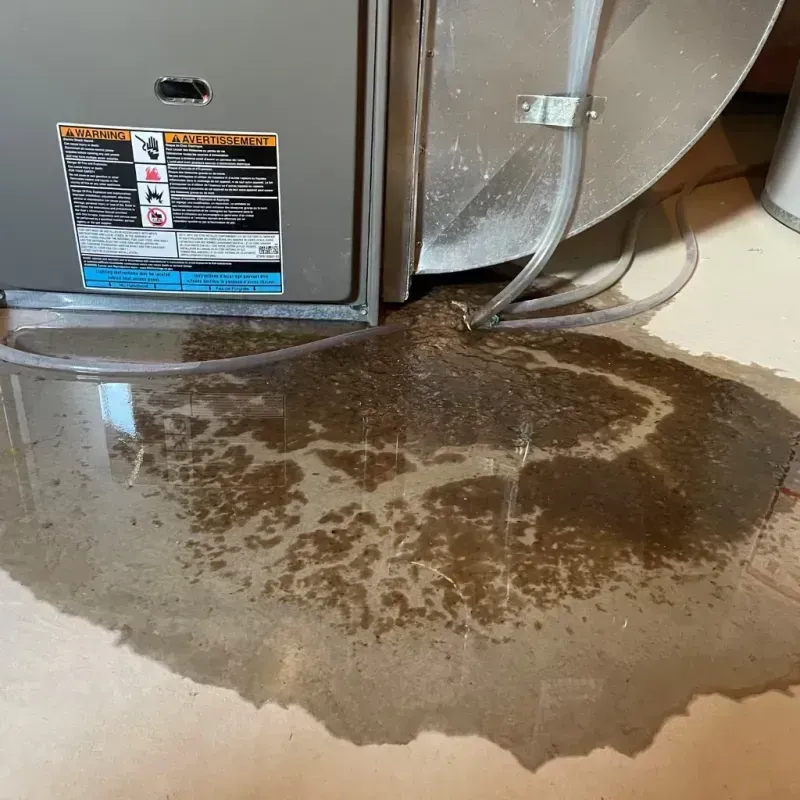 Appliance Leak Cleanup in Cherokee County, KS